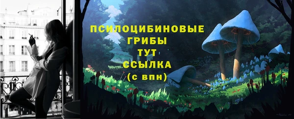 тгк Долгопрудный
