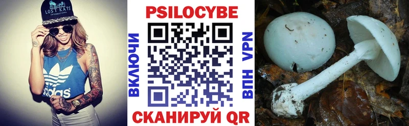 купить  сайты  Солнечногорск  Псилоцибиновые грибы ЛСД 